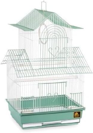 Rustic Retreat Bird Cage with Natural Wood Accents, Durable Metal Construction, Spacious Interior, and Comfortable Features for Birds' Green
