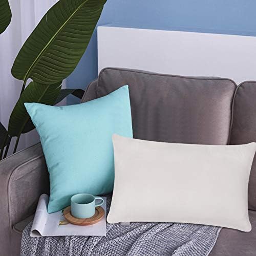 Thmyo 4-Pack 100% Cotton Lumbar Comfortable Solid Decorative Throw Pillow Case Rectangle Cushion Cover Sublimation Blank Pillow Covers DIY Throw Pillowcase(12x20inch/30x50cm,Light Silver Grey)