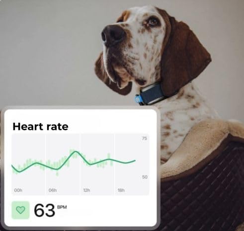 Invoxia Minitailz - Health & GPS Tracker for Dogs #1 - Cardiac and Respiratory Scan - Real-time Location - Activity and Well-Being Analysis - Compact, Lightweight, and Easy to Install