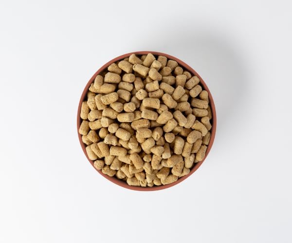 360 Pet Nutrition Freeze-Dried Raw Dog Food – Multi-Protein with Beef, Chicken, Fish, Liver & Organs, High Protein, Omega-3s, Fruits, Veggies & Superfoods, Grain-Free, No Fillers, 1 lb – Made in USA