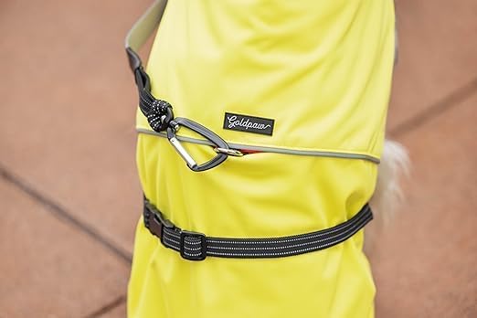 Goldpaw Rainpaw Waterproof Dog Raincoat - Durable Dog Rain Jacket for All Seasons - Easy to Wear, Adjustable, Premium Pet Outerwear - Made in The USA - Machine Washable - Pink - Size 8