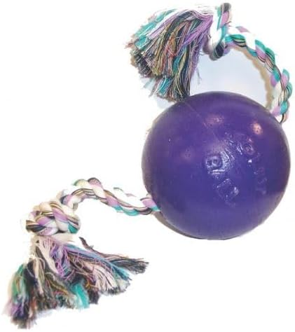 Jolly Pets Romp-n-Roll Rope and Ball Dog Toy, 4.5 Inches/Small, Purple, 4.5-Inch Romp-n-Roll, Purple