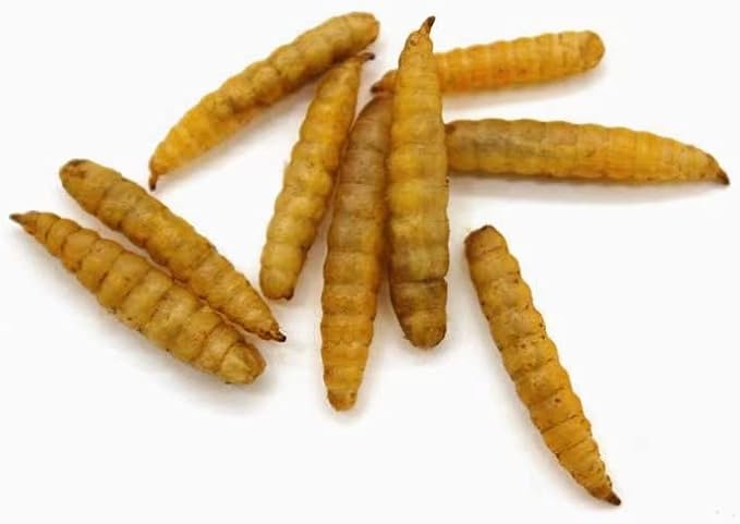 HARTOMPET Better Than Dried Mealworms for Chickens 5 lbs - 85X Calcium Than MealWorms - Non-GMO Chicken Feed Additive - Black Soldier Fly Larvae Treats for Hens, Ducks, Wild Birds