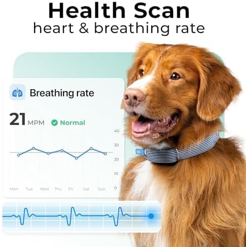 Invoxia Minitailz - Health & GPS Tracker for Dogs #1 - Cardiac and Respiratory Scan - Real-time Location - Activity and Well-Being Analysis - Compact, Lightweight, and Easy to Install