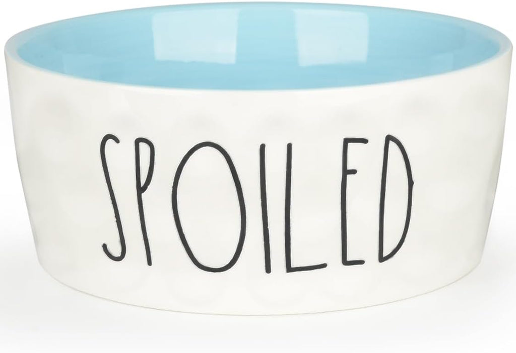 27OZ Ceramic Dog Bowl - 6 Inch Small Food Water Bowl, Heavy Duty Non-Slip Dog Dish for Medium Dogs, Food Grade Porcelain Pet Feeder Bowls, Microwave & Dishwasher Safe, Blue