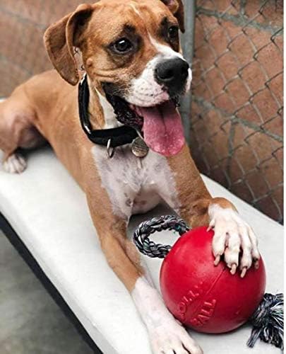 Jolly Pets Romp-n-Roll Rope and Ball Dog Toy, 6 Inches/Medium, Red (606 RD)
