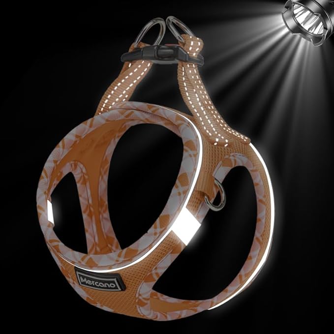 Mercano Soft Mesh Dog Harness and Leash Set, No-Chock Step-in Reflective Breathable Lightweight Easy Walk Vest Harnesses with Safety Buckle for Small Dogs, Cats (Orange, XL)