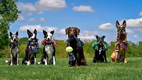 Mammoth Flossy Chews Rope Tug – Premium Cotton-Poly Tug Toy for Dogs – Interactive Rope Toy (Colors May Vary)