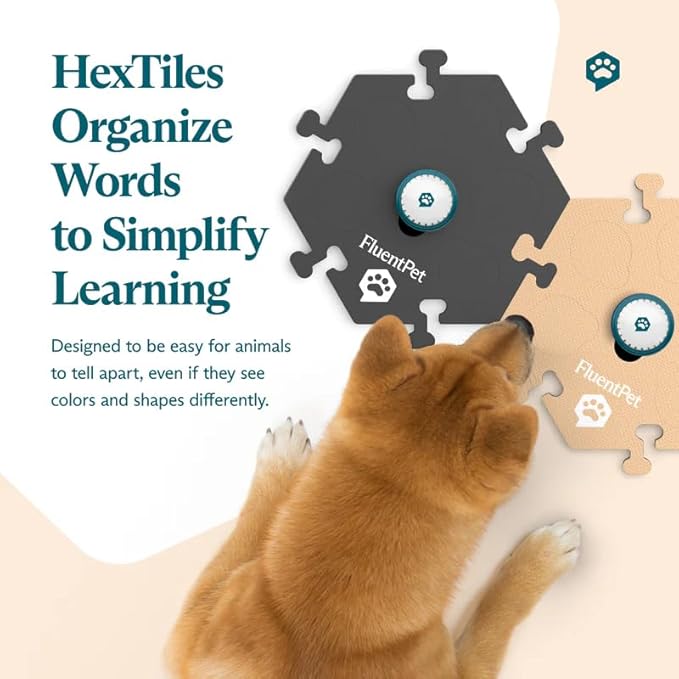 FluentPet Speak Up! Tester Kit - Set of 2 Dog Talking Buttons with Pre-Installed Batteries & 2 HexTiles -| Pet Buttons for Communication