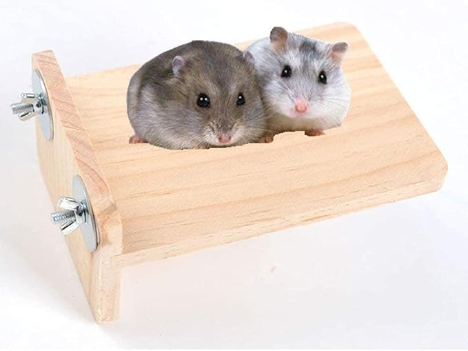 Litewoo Bird Perch Corner Platform Stand Shelf for Birds Budgie Parakeet Cockatiel Conure Cockatoo（Springboard）