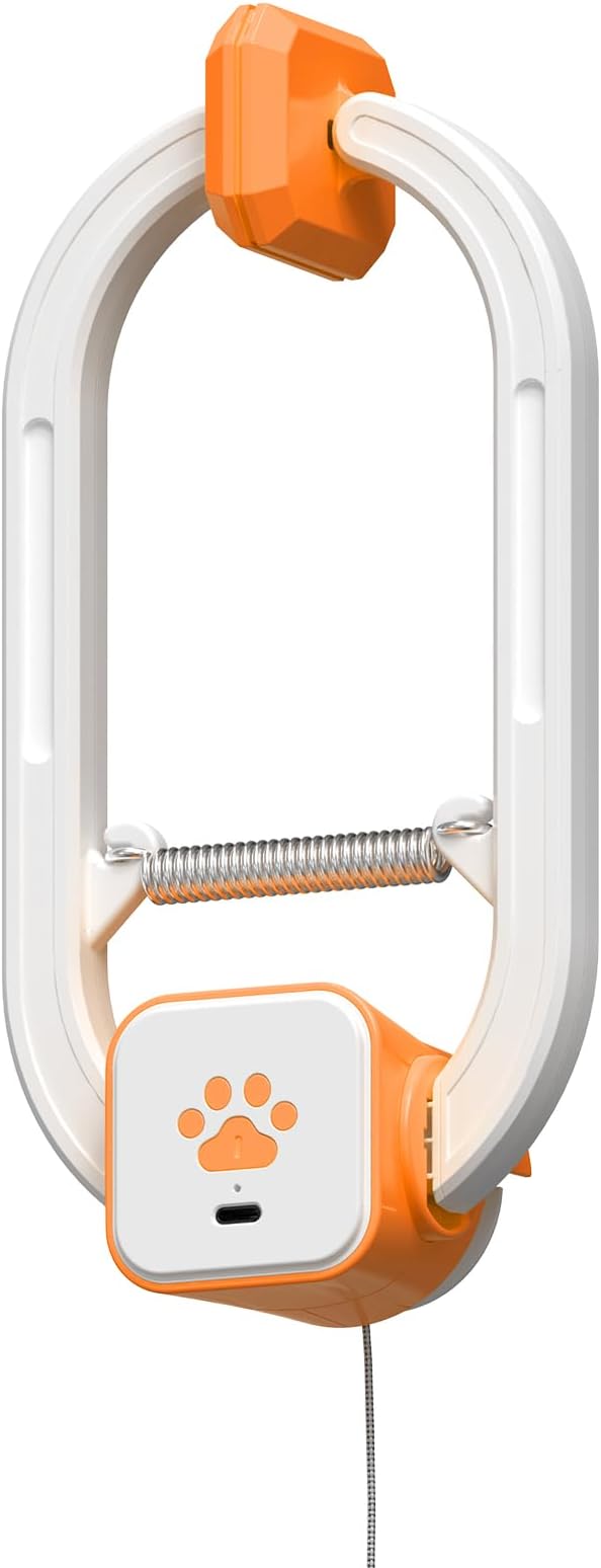 Interactive Cat Toy, Flapping Bird & Rotating Feather Teaser for Indoor Cats, Hanging Doorway Cat Toys with Fishing Pole for Exercise, Boredom Relief & Fun Games