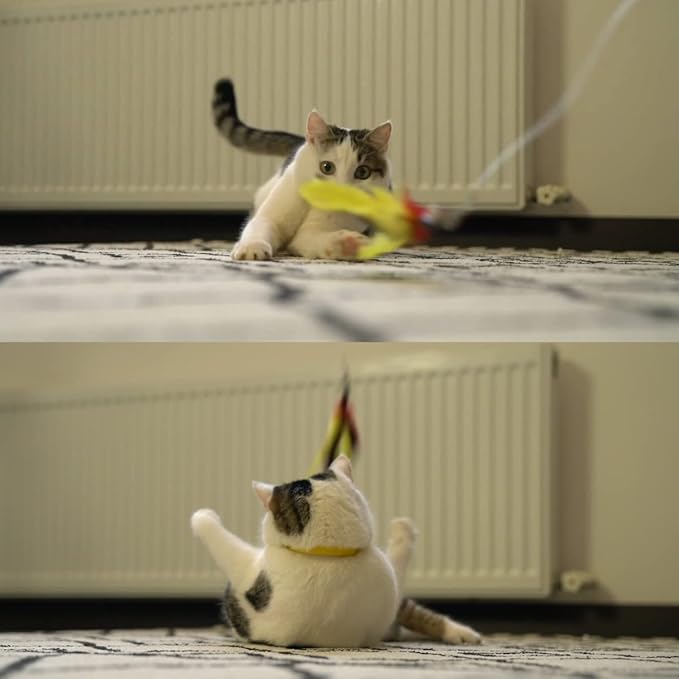 11PCS Cat Feather Toys Refills, 10PCS Feathers and 1PC String, Interactive Cat Wand Toy Replacement for Bored Indoor Adult Cats & Kittens