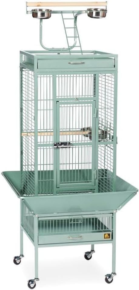 Retro Renaissance Iron Select Bird Cage with Elegant Design, Durable Construction, Easy-Clean Tray Sage Green