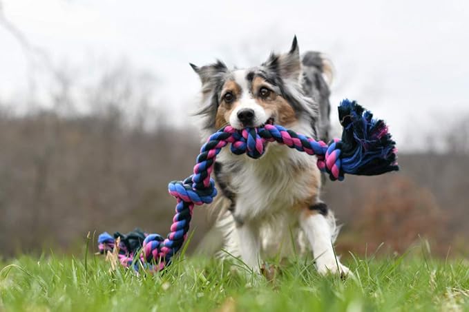 Mammoth Flossy Chews Color Rope Tug – Premium Cotton-Poly Tug Toy for Dogs – Interactive Dog Rope Toy – Tug Dog Chew Toy