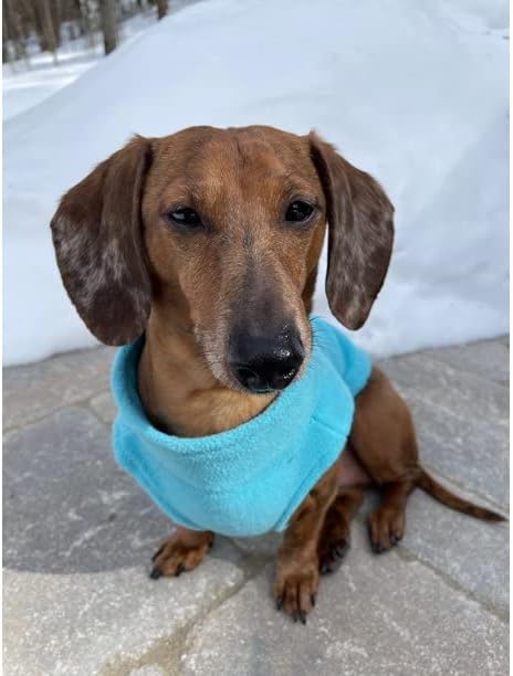 Gooby Zip Up Fleece Dog Sweater - Turquoise, 3X-Large - Warm Pullover Fleece Step-in Dog Jacket with Dual D Ring Leash for Small to Medium Dogs