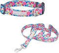 Lucky Love Dog - Adjustable Dog Collar and Leash Set with Easy Click Buckle for Small to Large Dogs, Durable, & Comfortable Collar for Male & Female Dogs, Puppies & Adult Ones- Valentina Combo, Medium