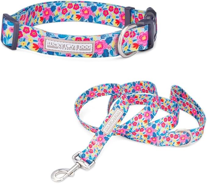 Lucky Love Dog - Adjustable Dog Collar and Leash Set with Easy Click Buckle for Small to Large Dogs, Durable, & Comfortable Collar for Male & Female Dogs, Puppies & Adult Ones- Valentina Combo, Medium