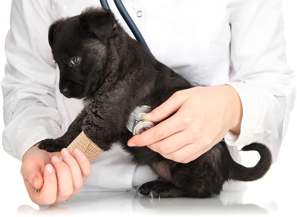 24 Pack Brown Breathable Self Adhesive Bandage Wrap 2 in, Multi-Purpose Non-Woven Cohesive Wrap - Vet Wrap | Athletic Tape | Medical Tape, Ankle Sprains, Swelling, Pets.