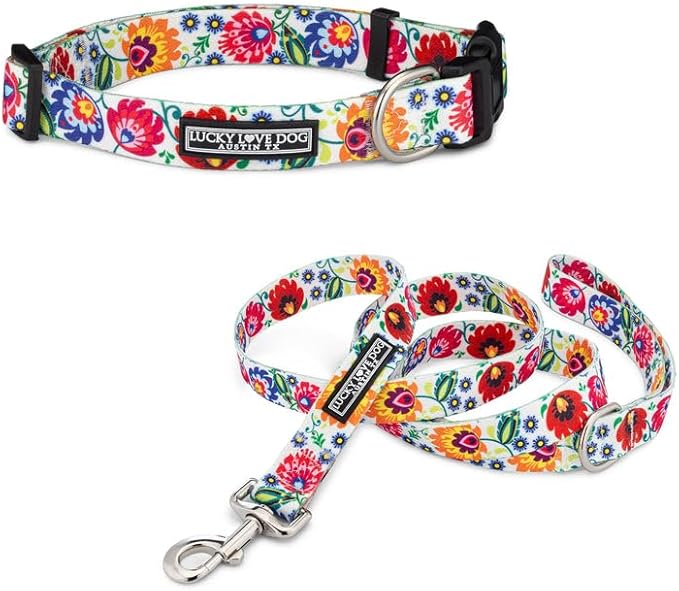 Lucky Love Dog - Easy Click Buckle Dog Collar with Leash Set Combo, Durable & Comfortable for Male & Female Dogs, Pet Collar for Small to Large Dogs, Secure Fit - Ladybird Combo, Large
