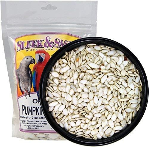 SLEEK & SASSY Oregon Pumpkin Seeds Bird Treat (10 oz.)