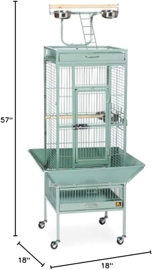Retro Renaissance Iron Select Bird Cage with Elegant Design, Durable Construction, Easy-Clean Tray Sage Green
