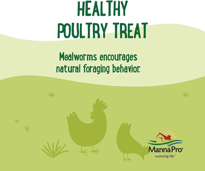 Manna Pro Mealworms Poultry Treat - High Protein, 100% Natural, 10oz