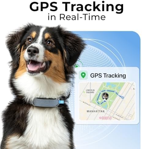 Invoxia Minitailz - Health & GPS Tracker for Dogs #1 - Cardiac and Respiratory Scan - Real-time Location - Activity and Well-Being Analysis - Compact, Lightweight, and Easy to Install