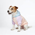 Spark Paws Dog Hoodie – Premium Dog Sweater for Small, Medium, and Large Dogs | Warm Outfits for French Bulldogs, Pitbull, Puppy, Winter Jacket Alternative - Cotton Candy - L
