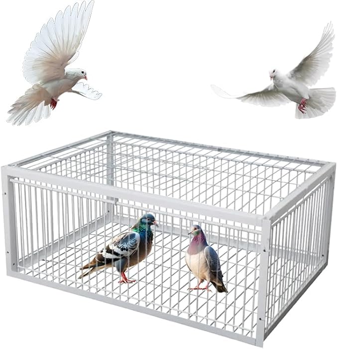 Pigeon Trap Cage with Escape-Proof Design Chicken Trap Bird Cage with One Way Entrance for Sparrows Quails Bird Chick and Duckling (23.6”L x 15.75” W x 10.24 ”H)
