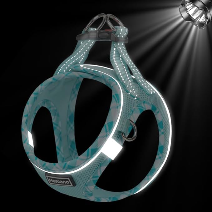 Mercano Soft Mesh Dog Harness and Leash Set, No-Chock Step-in Reflective Breathable Lightweight Easy Walk Vest Harnesses with Safety Buckle for Small Dogs, Cats (Light Blue, M)