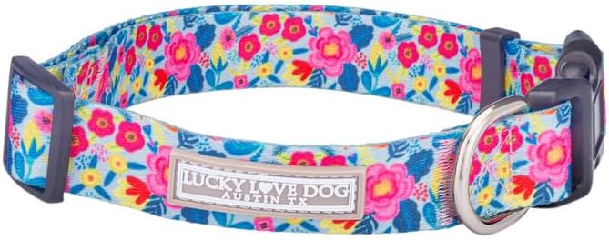Lucky Love Dog - Adjustable Dog Collar with Easy Click Buckle for Small to Large Ones, Durable, & Comfortable for Male & Female Dogs, Pet Collar for Puppies & Adult Dogs - Valentina, Medium