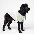 Spark Paws Dog Hoodie – Premium Dog Sweater for Small, Medium, and Large Dogs | Warm Outfits for French Bulldogs, Pitbull, Puppy, Winter Jacket Alternative - Olive Cream - 3XL