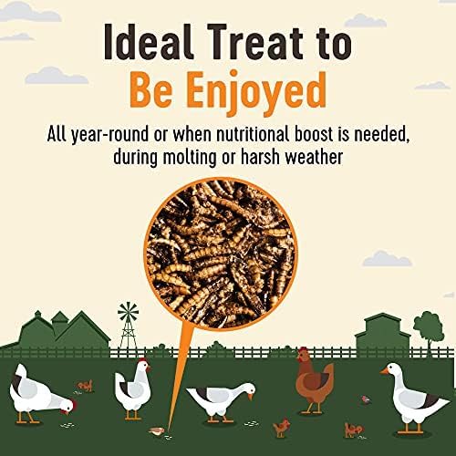 Natural Black Soldier Fly Larvae for Chickens, 85X More Calcium Than Mealworms-High Protein Grub Food Chicken Treats for Hens, Probiotic & Calcium Rich Chicken Feed, Bird Treat 1lb