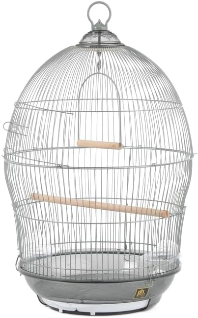 Maykoosh Neo-Classical Nostalgia Scrollwork Bird Cage with Intricate Design, Durable Metal Construction, Spacious Interior