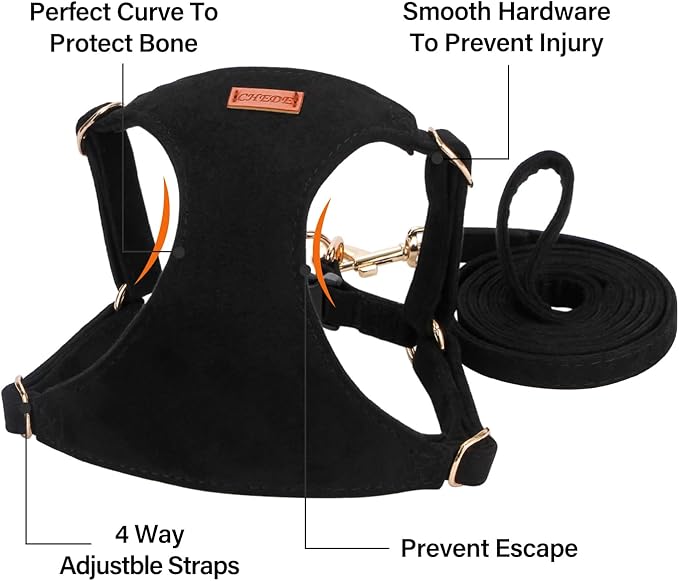 No Pull Dog Harness- Lightweight, Soft, Adjustable Small Harness Collar and Leash Set, Suitable for Cats Puppy Small and Medium-Sized Dog Outdoor Training and Running (Black, S)