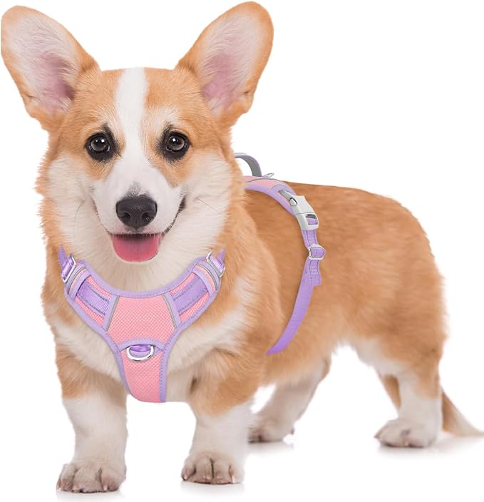 BARKBAY No Pull Dog Harness Large Reflective Dog Harness with Front Clip and Easy Control Handle for Walking Training Running with ID tag Pocket(Baby Pink & Violet Purple,M)