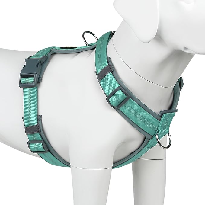 Plutus Pet No Pull Dog Harness, Adjustable Nylon Harness with Soft Padding, Reflective and Heavy Duty Dog Harness for Small, Medium, Large Dogs(Teal, XS)
