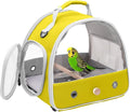 Bird Travel Carrier, Portable Small Bird Parrot Parakeet Carrier with Standing Perch and Soft Mat, Side Access Window Collapsible