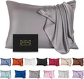 Mulberry Silk Pillowcase for Hair and Skin,Queen Size Cooling Silk Pillow Case with Hidden Zipper,Allergen Proof Dual Sides Soft Breathable Smooth Silk Pillow Cover for Women(Queen,Dark Gray)