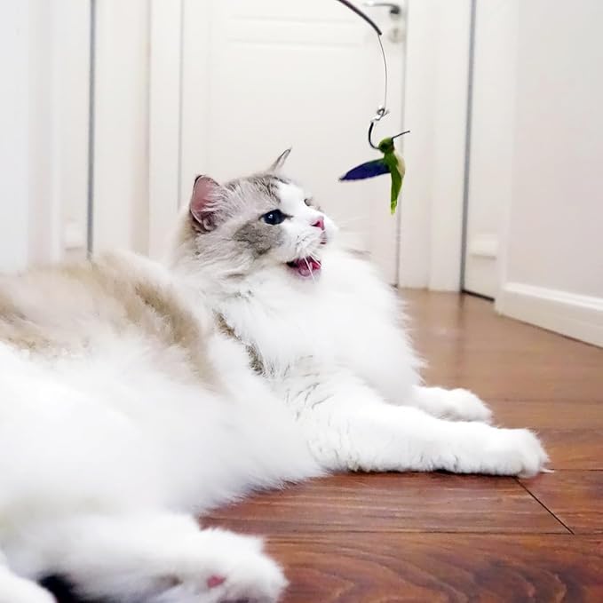 TTcat Cat Feather Toys Replacement,3 Pcs Hummingbird Insect Feathers Refills for Cat Wands.