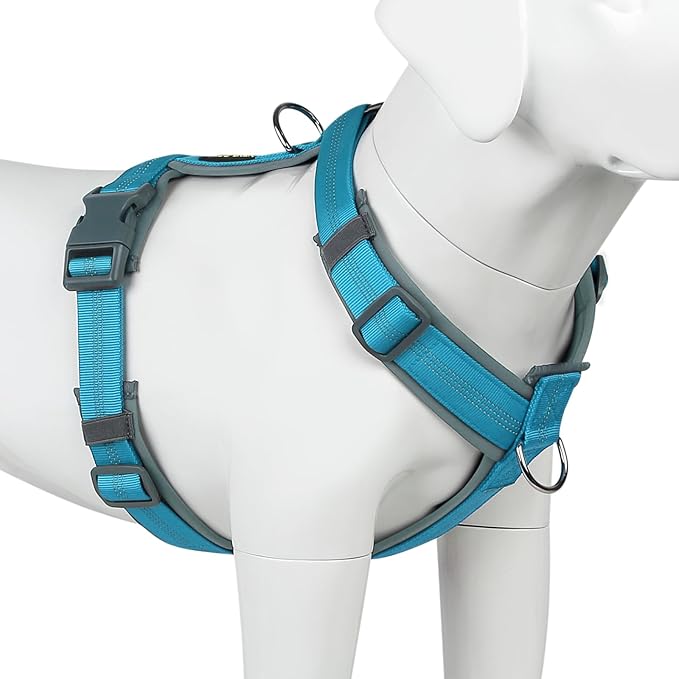 Plutus Pet No Pull Dog Harness, Adjustable Nylon Harness with Soft Padding, Reflective and Heavy Duty Dog Harness for Small, Medium, Large Dogs(Cyan, XS)