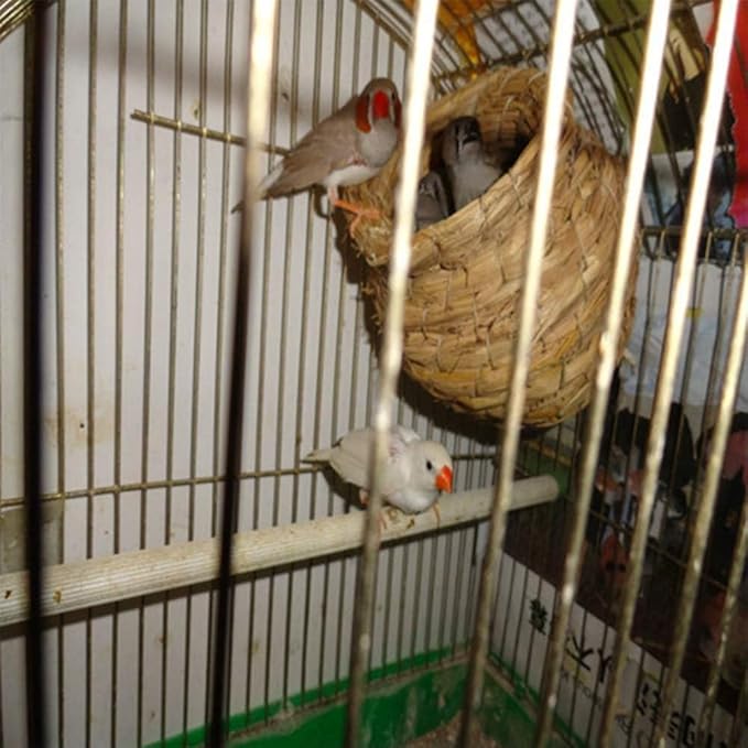 Hamiledyi Bird Nest Grass Bird Hut Outdoor Hanging Birdhouse Canary Nest Chickadee House Wren Nest Fiber Roosting Pocket for Parakeet Parrot Cockatiel Finch