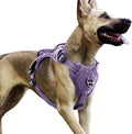 No Pull Dog Harness Medium Sized Dog for Service, Easy Walk, Training - Adjustable Reflective Dog Vest with Handle Easy Control - No Choke Metal Buckled Pet Harnesses (Purple, Medium)