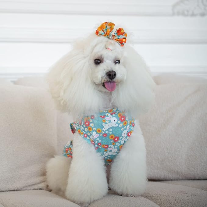 CuteBone Dog Shirts 2-Pack St.Patrick's Day & Easter Soft Pet Clothes Breathable Summer Vest for Small Puppy and Stretchy Cat Apparel 2BX12XL