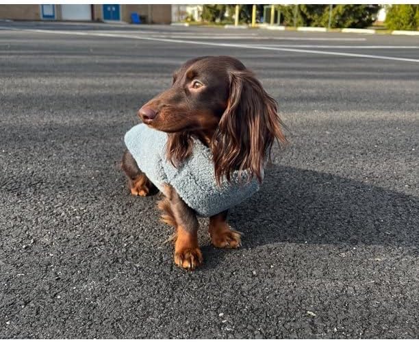 Gooby Sherpa Vest Dog Sweater - Stone Blue, X-Small - Warm Fuzzy Fleece Step in Dog Jacket Without Ring Leash for Small to Medium Dogs