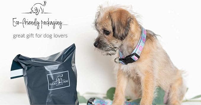 Lucky Love Dog - Adjustable Dog Collar with Easy Click Buckle for Small to Large Ones, Durable, & Comfortable for Male & Female Dogs, Pet Collar for Puppies & Adult Dogs - Clara, Medium