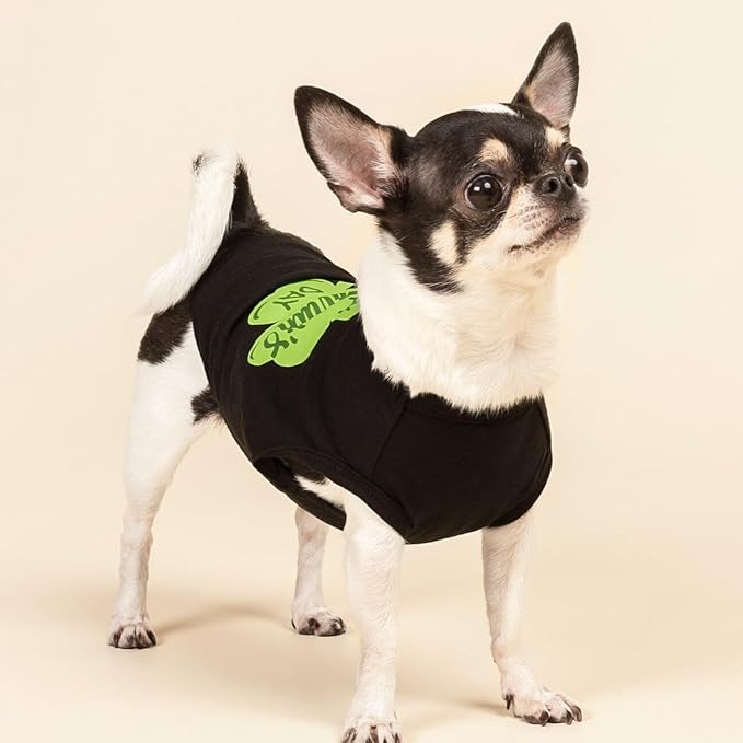Fitwarm Happy St Patricks Day Dog Clothes, Summer Dog Clothes for Small Dogs Boy Girl, Funny Dog Tshirt, Lightweight Breathable Cotton, Pet Cat Outfit, Black, Green, Large