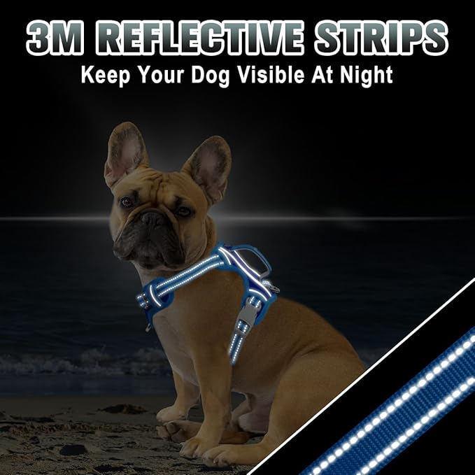 BARKBAY No Pull Dog Harness Large Reflective Dog Harness with Front Clip and Easy Control Handle for Walking Training Running with ID tag Pocket(Sapphire Blue & Blue,XS)