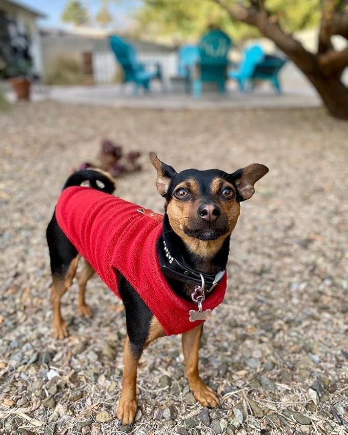 Gooby Fleece Vest Dog Sweater - Red, Medium - Warm Pullover Fleece Dog Jacket with O-Ring Leash for Small to Medium Dogs