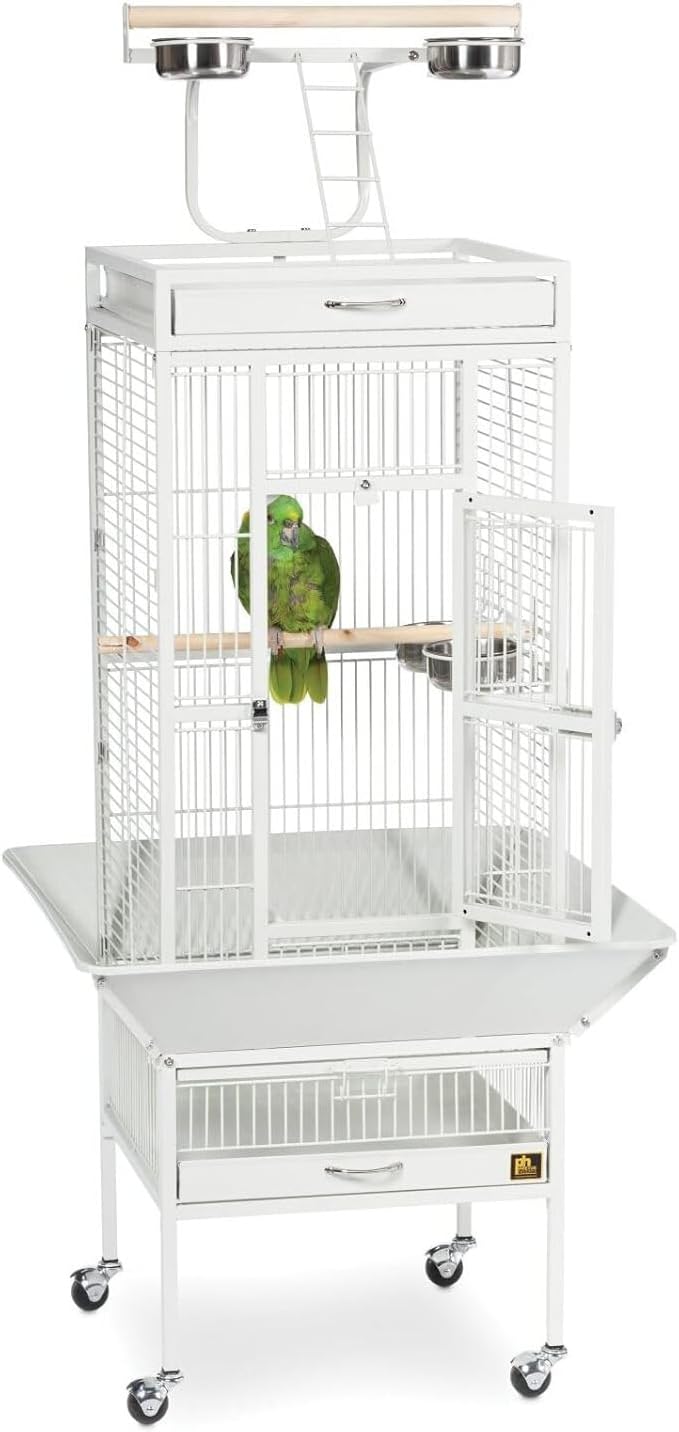 Retro Renaissance Iron Select Bird Cage with Elegant Design, Durable Construction, Easy-Clean Tray Black Hammertone